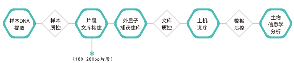 全外显子测序-技术路线-万象城AWC基因