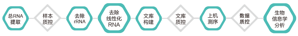 环状RNA（circRNA）测序-技术路线-万象城AWC基因