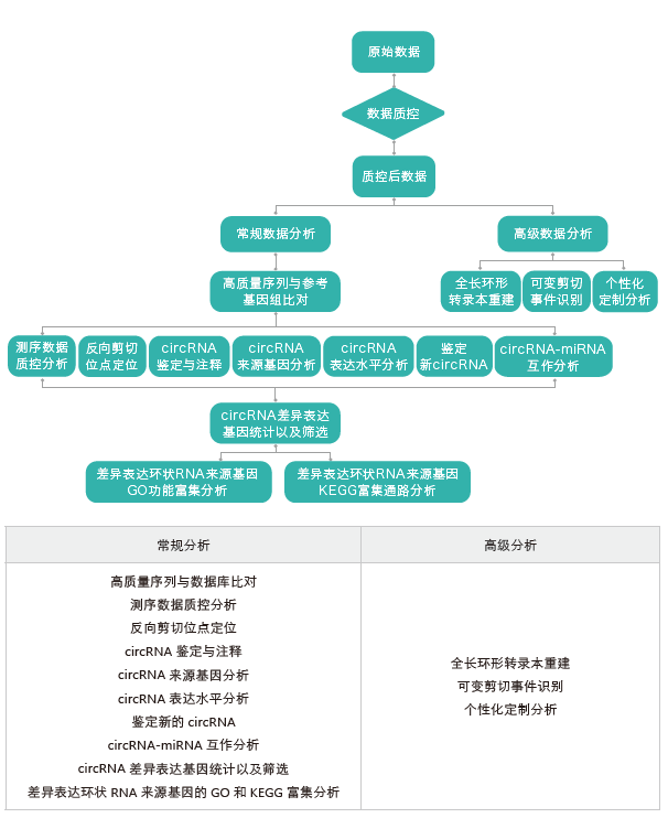 环状RNA（circRNA）测序-生信分析流程-万象城AWC基因