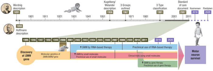 SMA研究进展_万象城AWC基因