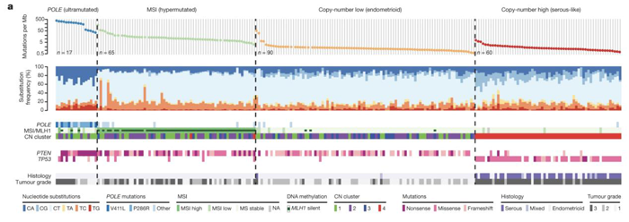 子宫内膜癌突变图谱_子宫内膜癌的分子分型_万象城AWC基因