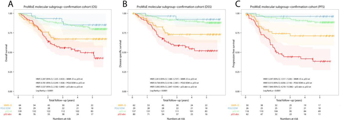 ProMisE 对EC队列（n = 319）进行Kaplan-Meier生存分析_子宫内膜癌的分子分型_万象城AWC基因