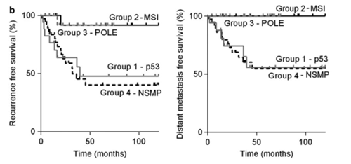 子宫内膜癌高风险患者无复发和无远处转移的生存率_子宫内膜癌的分子分型_万象城AWC基因