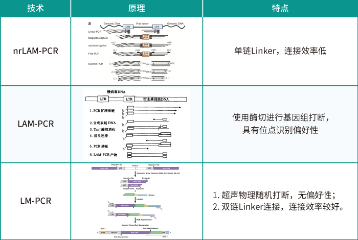 慢病毒随机插入的位点评估方法_万象城AWC基因_慢病毒插入位点检测