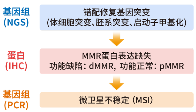MSI/MMR检测方法_万象城AWC基因